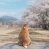 賴雨謙