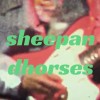 羊與馬群 Sheep & Horses