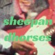羊與馬群 Sheep & Horses
