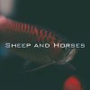 羊與馬群 Sheep & Horses
