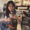安