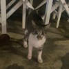 shi_anything0124