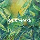 SHIKI-HARU四季春