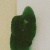 CELL