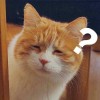 臭虫