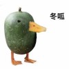 東呱