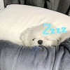 Xi