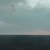 shrill_field_gr8