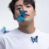 Vanes-姚冠宇