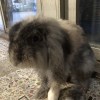 钻石体验