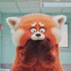 shrill_hall_ui9