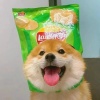 UtsunomiyaShionNo.1