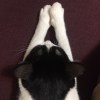 茉莉
