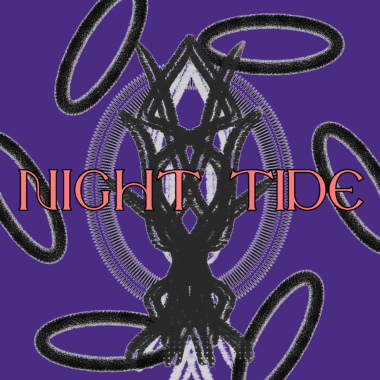 蓝莓之夜