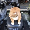 一個人
