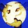你太白了，去曬黑 ShyHey