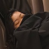 shy_recipe_pr4