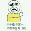 海雅谷慕地上头目