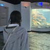 楚禾日當午