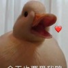 等雨停
