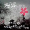 花裤头