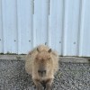 Ykey