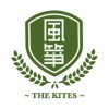 風箏 王