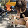 咪苦