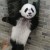 sion_chen