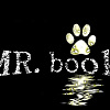 mr.book小亮