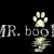 mr.book小亮