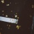 listening a song in Zhengzhou