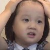 小鹤