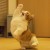 lianggggg___