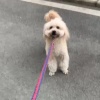 笼（纯音乐）