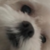 xinyu