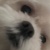 xinyu