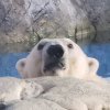 法兰西多士