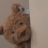 泷伦