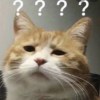 杯夠?