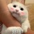 biu_吼