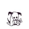 PN
