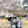 橘一只