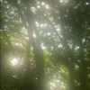 regen