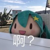 风