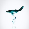 spring_dream_rgk