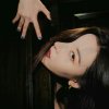 spring_leaf_s65