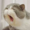 Smile_one