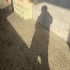 Jia_721
