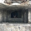 REXghosts 瞬陞止水
